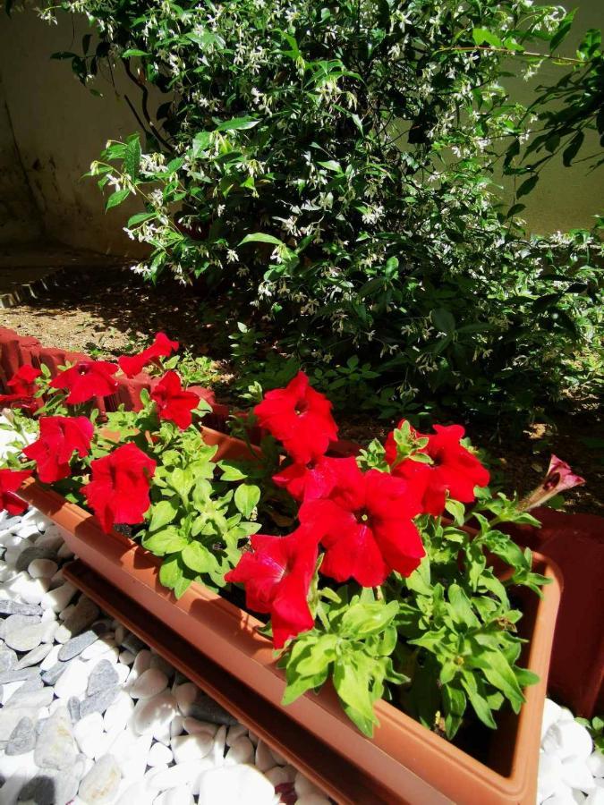 Apartment Hermes Modern Alexandroupoli